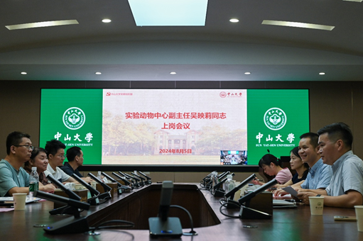 image-20240812111547-1