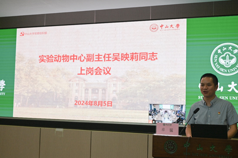 image-20240812111637-2